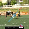 IMG_8316