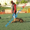 IMG_8330