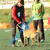 IMG_8340