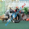 IMG_8365