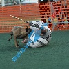 IMG_8374