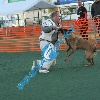 IMG_8378