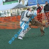 IMG_8379