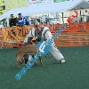 IMG_8380