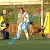 IMG_8385