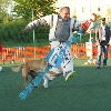 IMG_8389
