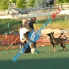 IMG_8404