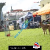 IMG_9259