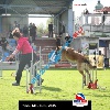 IMG_9277