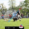 IMG_9308