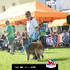 IMG_9330
