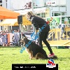 IMG_9338