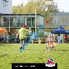 IMG_9356