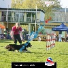 IMG_9372