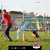 IMG_9389