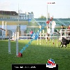 IMG_9461