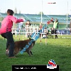 IMG_9470