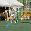 IMG_8443