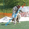 IMG_8494