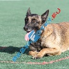 IMG_8509