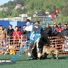 IMG_8527