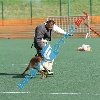 IMG_8571