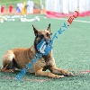 IMG_8579