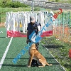 IMG_8622