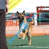 IMG_8636