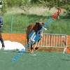 IMG_8674