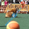 IMG_8679