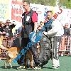 IMG_8690