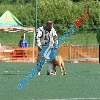 IMG_8694