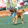 IMG_8785