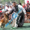 IMG_8817