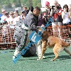 IMG_8818