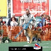 IMG_8833