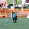 IMG_8851
