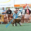 IMG_8901