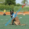 IMG_8919