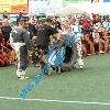 IMG_8986