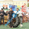IMG_8987