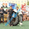 IMG_8988