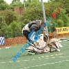 IMG_9058