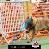 IMG_9074