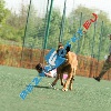 IMG_9174