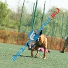 IMG_9175