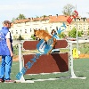 IMG_9180