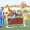 IMG_9181