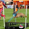 IMG_5344